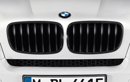 BMW X5 E70 X6 E71 Performance Styling Mat Zwarte Grill Nieren