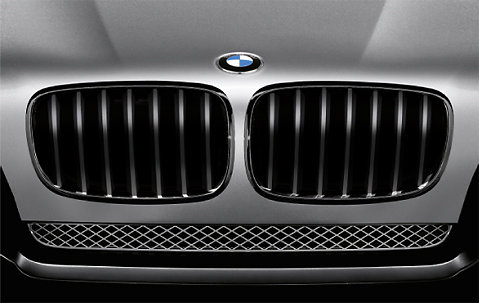 Originele BMW X5 E70 X6 E71 Performance glans zwarte Grille Nieren
