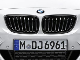BMW M Performance Grille zwart voor 2 Serie F22/F23  